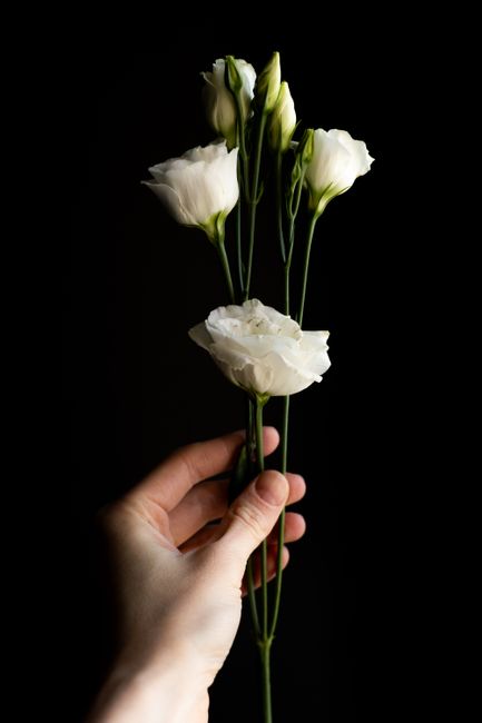 A hand holding a small bouquet of white flowers, including lisianthus and ruffled roses, set against a black background. The flowers have delicate, soft petals and slender green stems, with some buds 